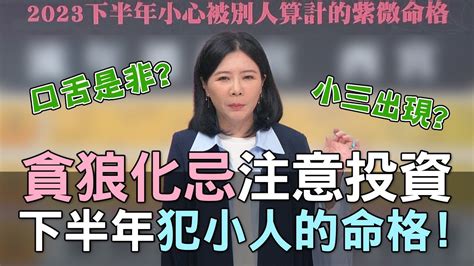 貪狼化忌化解|貪狼化忌